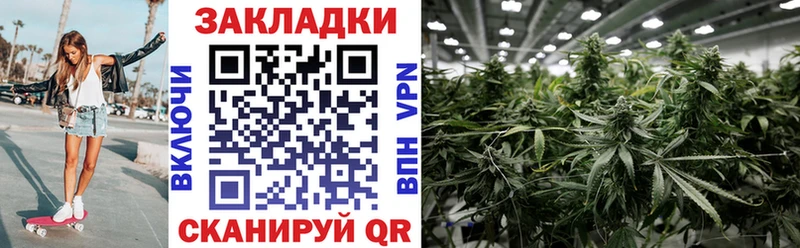 Как найти наркотики Сертолово Канабис  A-PVP  КОКАИН  АМФЕТАМИН  МЕФ  ГАШ 