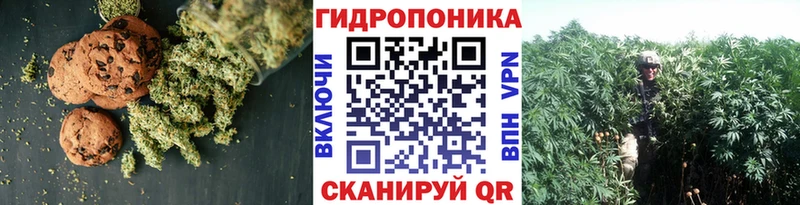 Печенье с ТГК конопля купить наркотик Сертолово