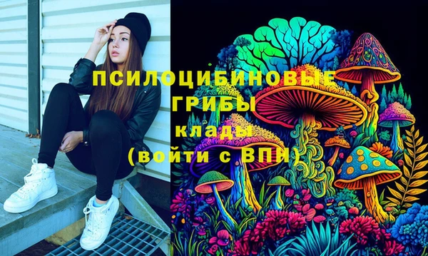 трава Осинники