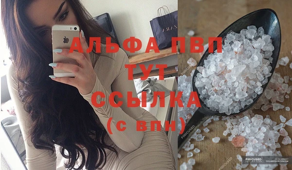 трава Осинники