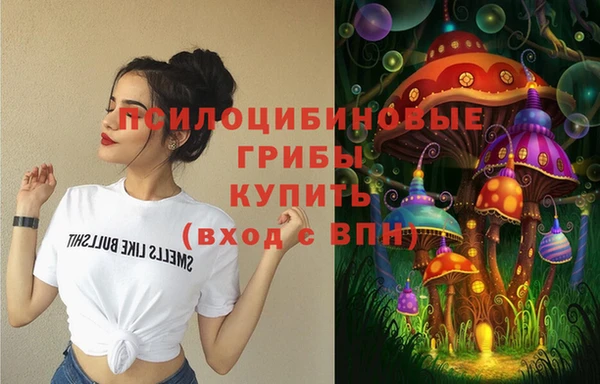 гашик Остров