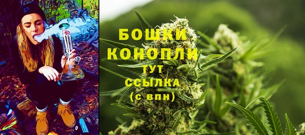 трава Осинники