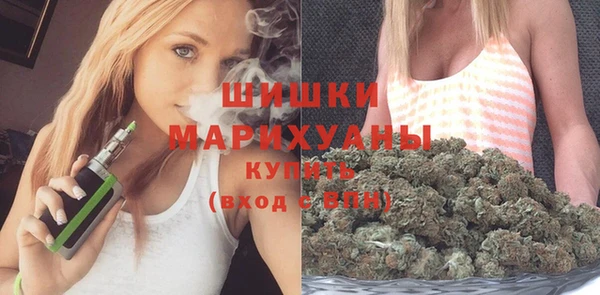трава Осинники