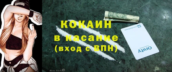трава Осинники