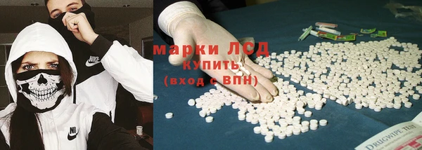 трава Осинники