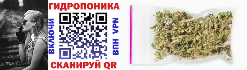 Канабис сатива  цены   ссылка на мегу ТОР  Сертолово 